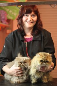 Katten trimmen